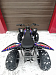 PROMAX RAPTOR 300 NEW